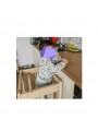 Learning Tower - treapta inaltator * -Turn de invatare si activități Montessori